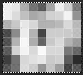 cg1_proc