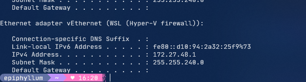 ipconfig